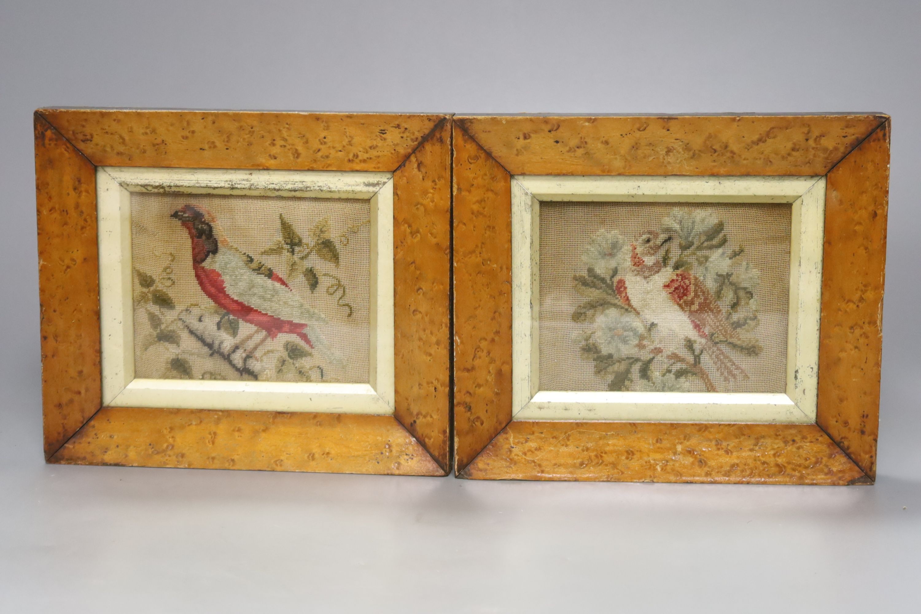 A pair of 19th century petit point panels of birds in maple frames